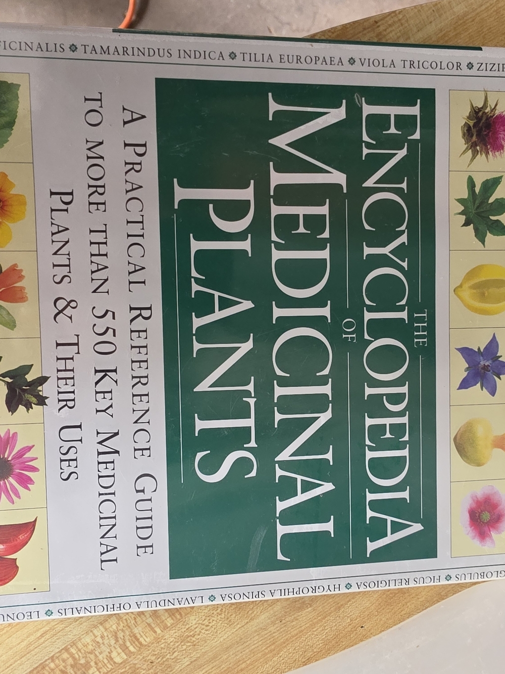 The Encyclopedia of Medicinal Plants - Green Cover